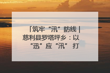筑牢“汛”防线｜慈利县罗塔坪乡：以“迅”应“汛” 打赢暴雨防御战