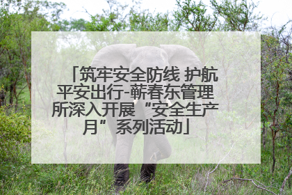 筑牢安全防线 护航平安出行-蕲春东管理所深入开展“安全生产月”系列活动
