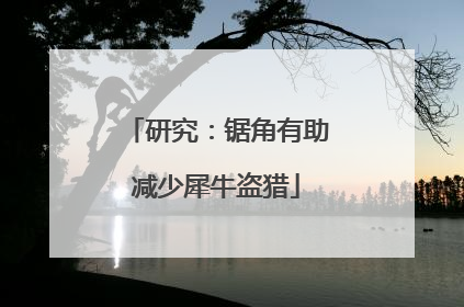 研究：锯角有助减少犀牛盗猎