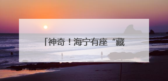 神奇！海宁有座“藏”在森林里的实验室