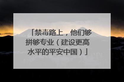 禁毒路上，他们够拼够专业（建设更高水平的平安中国）