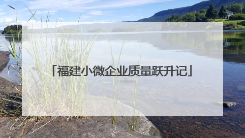 福建小微企业质量跃升记