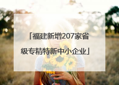 福建新增207家省级专精特新中小企业