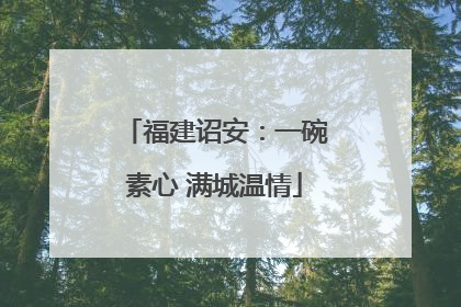 福建诏安：一碗素心 满城温情