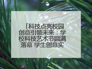科技点亮校园 创意引领未来：学校科技艺术节圆满落幕 学生创意实践大荟萃
