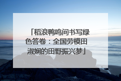稻浪鸭鸣间书写绿色答卷：全国劳模田淑娴的田野振兴梦