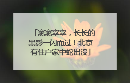窸窸窣窣，长长的黑影一闪而过！北京有住户家中蛇出没