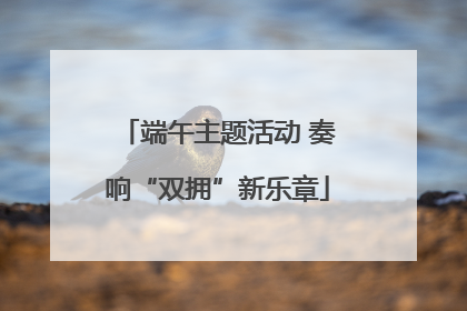 端午主题活动 奏响“双拥”新乐章