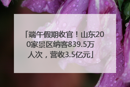 端午假期收官！山东200家景区纳客839.5万人次，营收3.5亿元