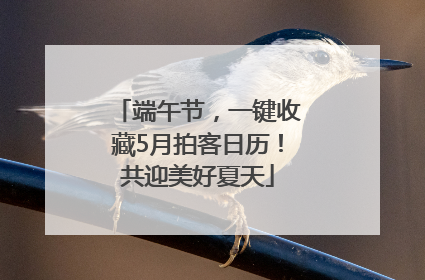 端午节，一键收藏5月拍客日历！共迎美好夏天