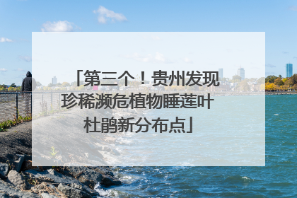 第三个！贵州发现珍稀濒危植物睡莲叶杜鹃新分布点