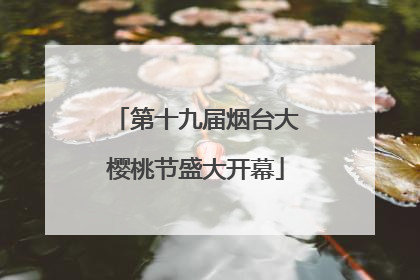 第十九届烟台大樱桃节盛大开幕