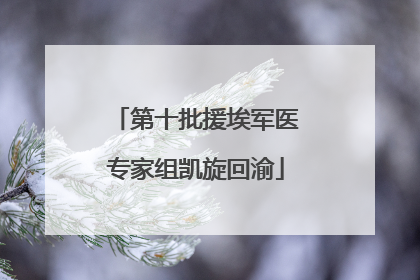 第十批援埃军医专家组凯旋回渝