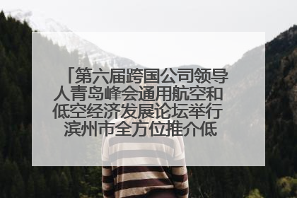 第六届跨国公司领导人青岛峰会通用航空和低空经济发展论坛举行 滨州市全方位推介低空经济发展优势