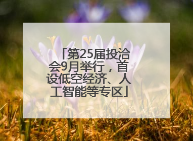 第25届投洽会9月举行，首设低空经济、人工智能等专区