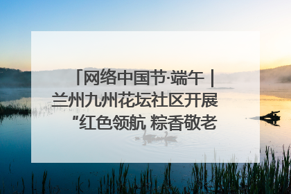 网络中国节·端午｜兰州九州花坛社区开展“红色领航 粽香敬老”端午主题活动
