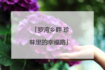 罗湾乡畔 珍味里的幸福路