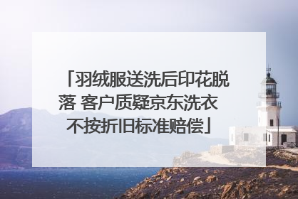 羽绒服送洗后印花脱落 客户质疑京东洗衣不按折旧标准赔偿