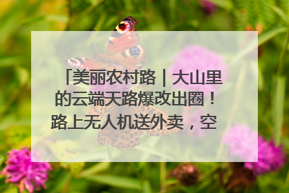 美丽农村路｜大山里的云端天路爆改出圈！路上无人机送外卖，空心村变网红村