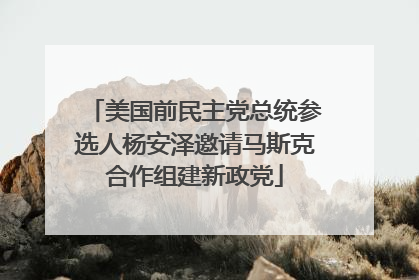 美国前民主党总统参选人杨安泽邀请马斯克合作组建新政党