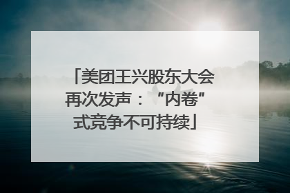 美团王兴股东大会再次发声：“内卷”式竞争不可持续