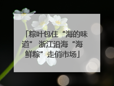 粽叶包住“海的味道” 浙江沿海“海鲜粽”走俏市场