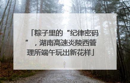 粽子里的“纪律密码”，湖南高速炎陵西管理所端午玩出新花样