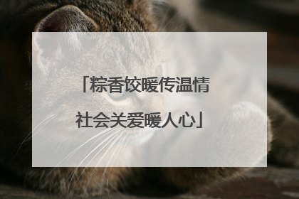 粽香饺暖传温情 社会关爱暖人心