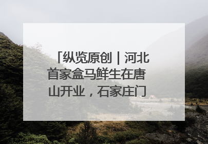 纵览原创｜河北首家盒马鲜生在唐山开业，石家庄门店预计8月开业