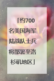 约700名美国海军陆战队士兵将部署至洛杉矶地区