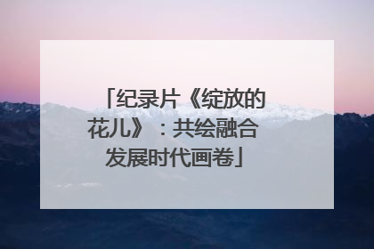 纪录片《绽放的花儿》：共绘融合发展时代画卷