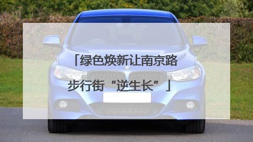 绿色焕新让南京路步行街“逆生长”