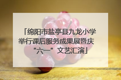 绵阳市盐亭县九龙小学举行课后服务成果展暨庆“六一”文艺汇演