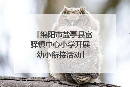 绵阳市盐亭县富驿镇中心小学开展幼小衔接活动
