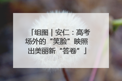组图｜安仁：高考场外的“笑脸”映照出美丽新“答卷”