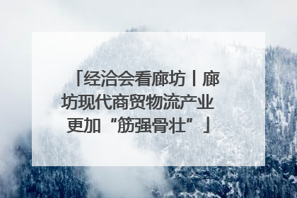 经洽会看廊坊丨廊坊现代商贸物流产业更加“筋强骨壮”