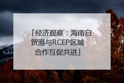 经济观察：海南自贸港与RCEP区域合作互促共进