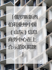 俄罗斯新西伯利亚州中国（山东）信息商务中心在上合示范区揭牌