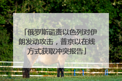 俄罗斯谴责以色列对伊朗发动攻击，普京以在线方式获取冲突报告