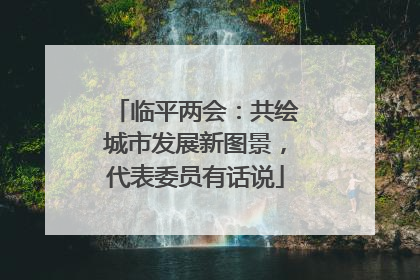 临平两会：共绘城市发展新图景，代表委员有话说