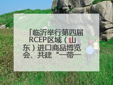 临沂举行第四届RCEP区域（山东）进口商品博览会、共建“一带一路”第三届临沂商城国际采购商大会新闻发布会