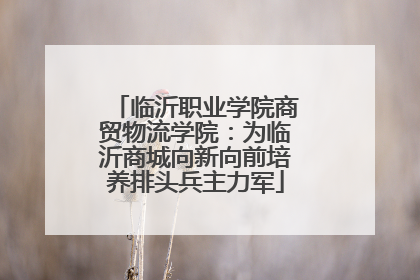 临沂职业学院商贸物流学院：为临沂商城向新向前培养排头兵主力军