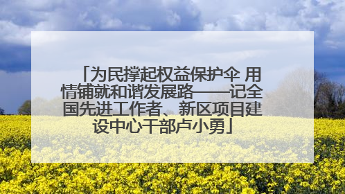 为民撑起权益保护伞 用情铺就和谐发展路——记全国先进工作者、新区项目建设中心干部卢小勇
