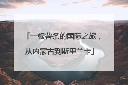 一根薯条的国际之旅，从内蒙古到斯里兰卡