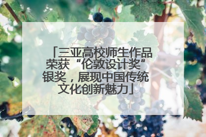 三亚高校师生作品荣获“伦敦设计奖”银奖，展现中国传统文化创新魅力