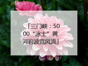 三门峡：5000“泳士”黄河碧波竞风流