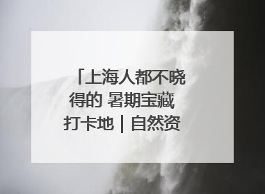 上海人都不晓得的 暑期宝藏打卡地｜自然资源探馆系列②