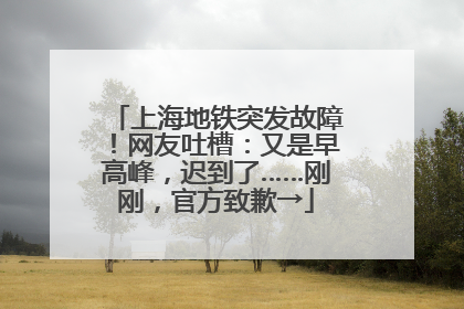 上海地铁突发故障！网友吐槽：又是早高峰，迟到了……刚刚，官方致歉→