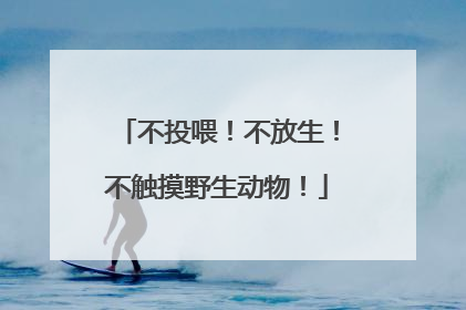 不投喂！不放生！不触摸野生动物！