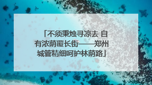 不须秉烛寻凉去 自有浓荫覆长街——郑州城管精细呵护林荫路